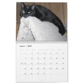 Calendrier Mural Une année de chats chatons (Mar 2027)