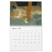 Calendrier Mural Une année de chats chatons (Feb 2027)
