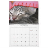 Calendrier Mural Une année de fuzzybutts (Jan 2027)