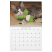 Calendrier Mural Une année de ridicule (Feb 2027)