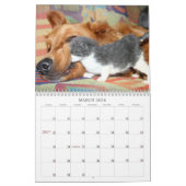 Calendrier Mural Une année de ridicule (Mar 2026)