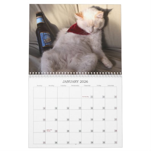 Calendrier Mural Une année de ridicule (Jan 2026)