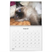 Calendrier Mural Une année des fuzzybutts (Mar 2027)