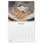 Calendrier Mural Une année des fuzzybutts (Feb 2027)