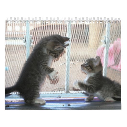 Calendrier Mural Une année des fuzzybutts (Protection)