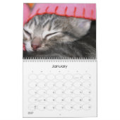 Calendrier Mural Une année des fuzzybutts (Jan 2027)