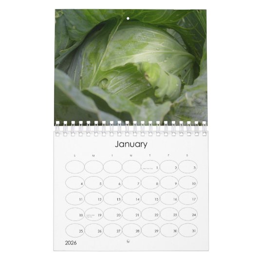 Calendrier Mural Une année en fruits, légumes et fleurs (Jan 2026)