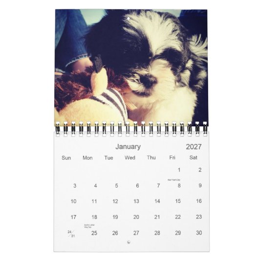 Calendrier Mural Une dose quotidienne de panda (Jan 2027)