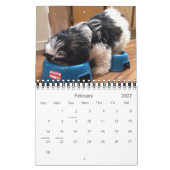 Calendrier Mural Une dose quotidienne de panda (Feb 2027)