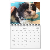 Calendrier Mural Une dose quotidienne de panda (Mar 2027)