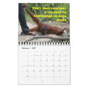 Calendrier Mural Véritable Amour : comment rencontrer l'homme de vo (Feb 2027)
