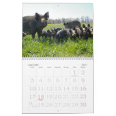 Calendrier Mural Vers le bas à la ferme (Jan 2027)