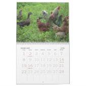 Calendrier Mural Vers le bas à la ferme (Feb 2026)