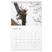 CALENDRIER MURAL VIE DE BALD EAGLE (Feb 2027)