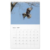 CALENDRIER MURAL VIE DE BALD EAGLE (Mar 2027)