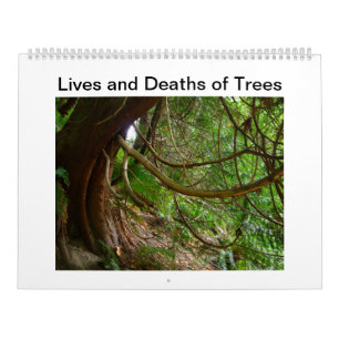 Calendrier Mural Vies et morts des arbres