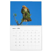 Calendrier Mural Vol du faucon rouge (Mar 2026)