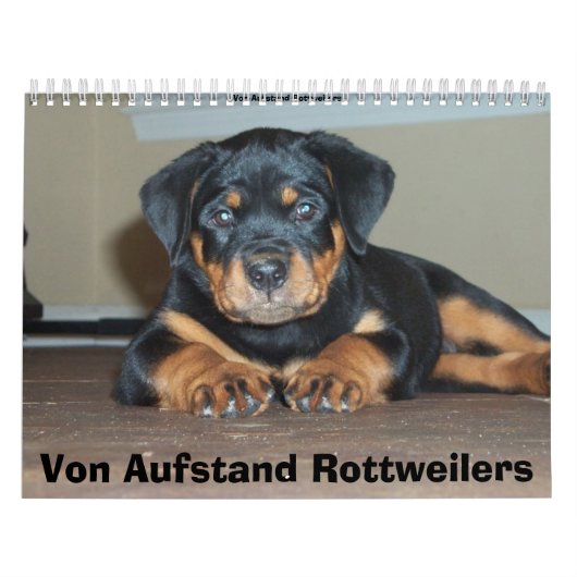 Calendrier Mural Von Aufstand Rottweilers (Protection)