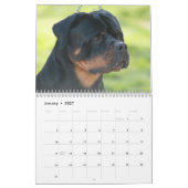 Calendrier Mural Von Aufstand Rottweilers (Jan 2027)