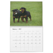 Calendrier Mural Von Aufstand Rottweilers (Feb 2027)