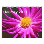 Calendrier Mural Voyage 2011 (Protection)