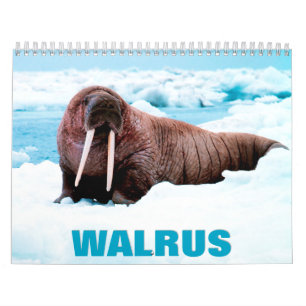 Calendrier mural Walrus 2022