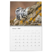 Calendrier mural Warblers 2027 (Jan 2027)