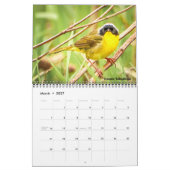 Calendrier mural Warblers 2027 (Mar 2027)