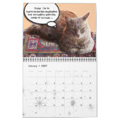 CALENDRIER MURAL WEIRD CATS 2014 (Jan 2027)