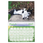 CALENDRIER MURAL WEIRD CATS 2014 (Mar 2027)