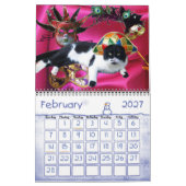CALENDRIER MURAL WEIRD CATS 2014 (Feb 2027)