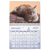 CALENDRIER MURAL WEIRD CATS 2014 (Jan 2027)