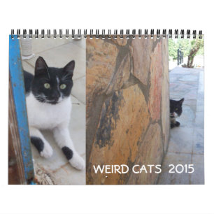 CALENDRIER MURAL WEIRD CATS 2017