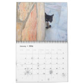 CALENDRIER MURAL WEIRD CATS 2017 (Jan 2026)