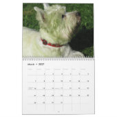 CALENDRIER MURAL WESTIE REGARDE 2011 (Mar 2027)