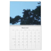 CALENDRIER MURAL WILSON POND 2011 (Mar 2027)
