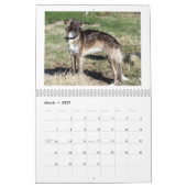 Calendrier Mural Windhounds de soie 2013-2 (Mar 2027)