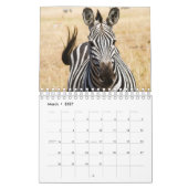 Calendrier mural Zebra (Mar 2027)