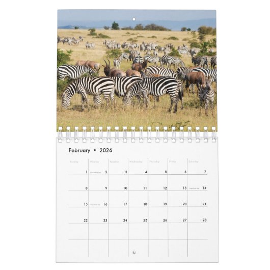Calendrier mural Zebra (Feb 2026)