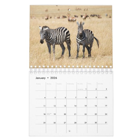 Calendrier mural Zebra (Jan 2026)