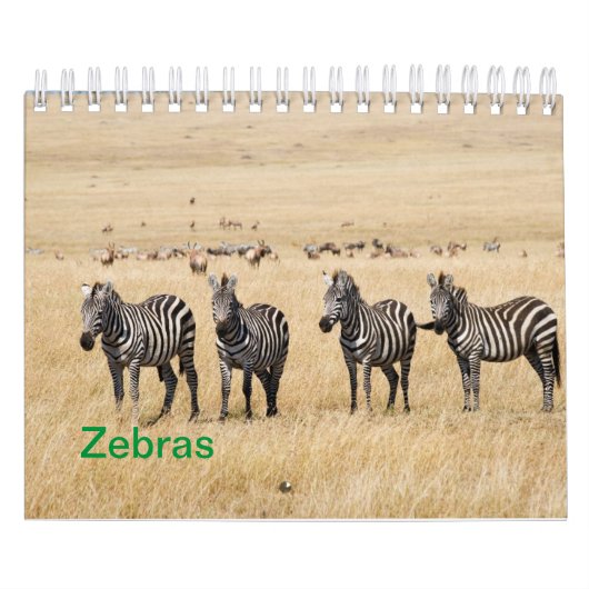 Calendrier mural Zebra (Protection)