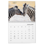 Calendrier mural Zebras (Jan 2027)