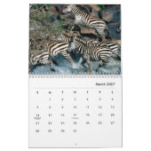 Calendrier mural Zebras (Mar 2027)