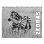 Calendrier mural Zebras (Protection)