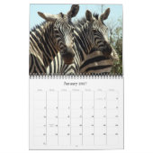 Calendrier Mural zèbre 2015 (Jan 2027)