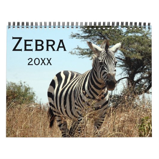 Calendrier Mural zèbre 2027 (Protection)