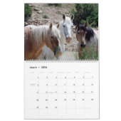 Calendrier Mustangs du bassin de lavage de sable Colorado (Mar 2026)
