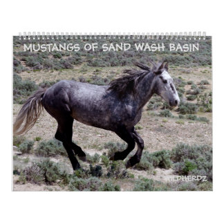 Calendrier Mustangs du bassin de lavage de sable Colorado