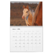 Calendrier MustangWild 2026 "Wild Babies" Calendar (Mar 2026)