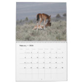 Calendrier MustangWild 2026 "Wild Babies" Calendar (Feb 2026)